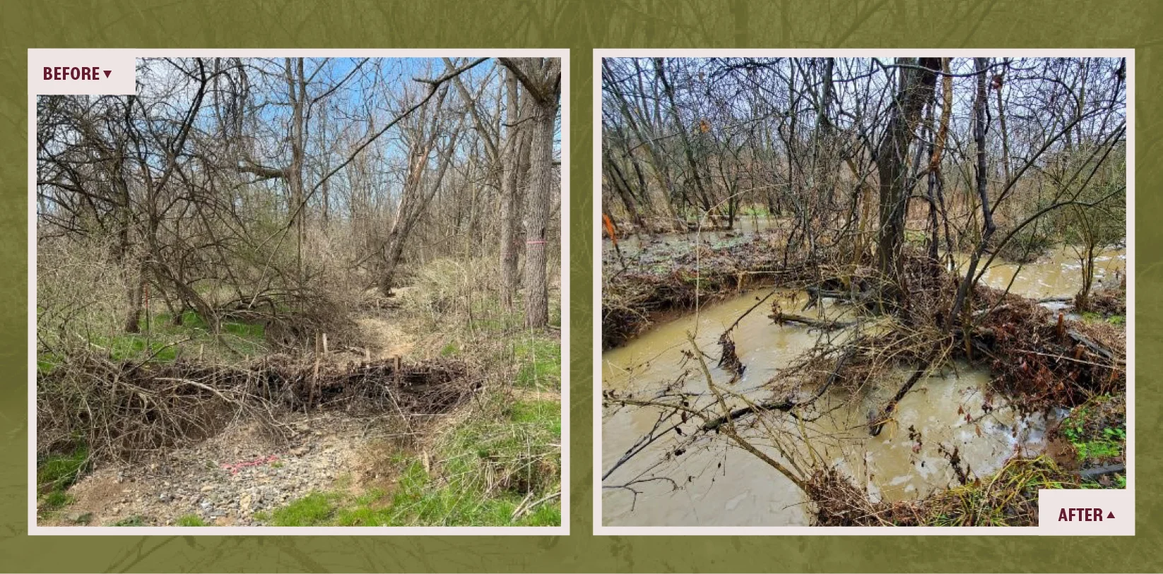 Side-by-side photos of a forested stream area. Left image (Before) shows a dry, rocky streambed. Right image (After) shows the same area flooded with muddy water, submerging the streambed and some vegetation.